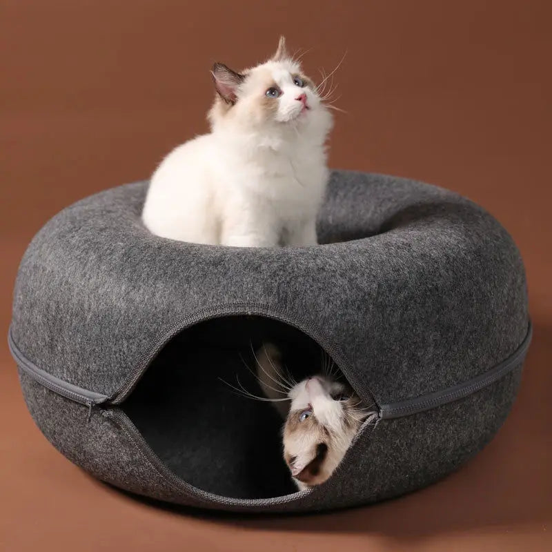 Puppy Dog Car Seat Travel Central Control Portable Pet Carrier for Small Dogs Chihuahua Teddy Cats Car Transport Dog Accessories