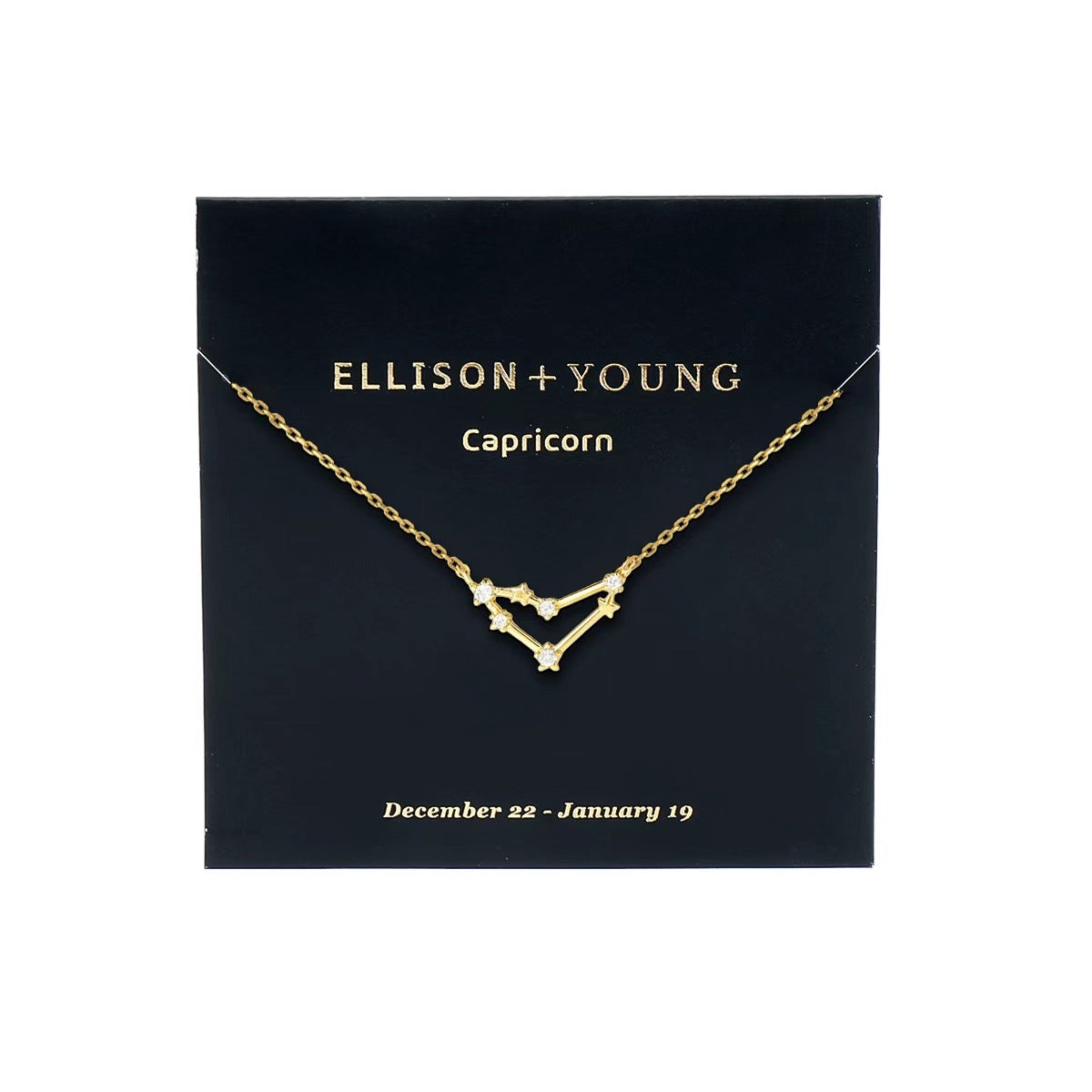 Zodiac Collection Necklace