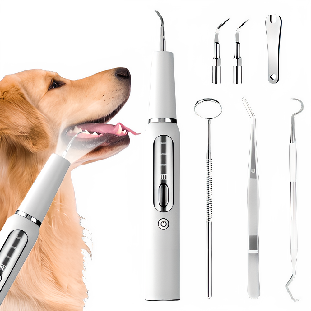 Dog Tooth Calculus Device Ultrasonic Toothbrush Electric Pet Tooth Scaler Tooth Cleaning Tool Plaque Dog Cat Dental Care Kit